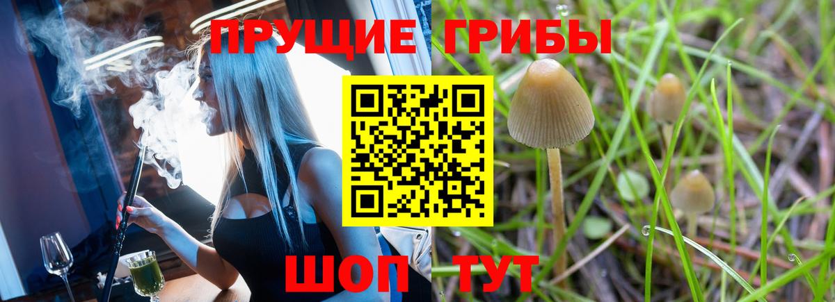 Галлюциногенные грибы мухоморы  Вход с VPN  купить закладку  Галлюциногенные грибы прущие грибы  Советский 